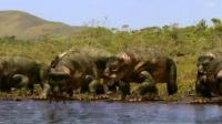 Walking With Dinosaurs